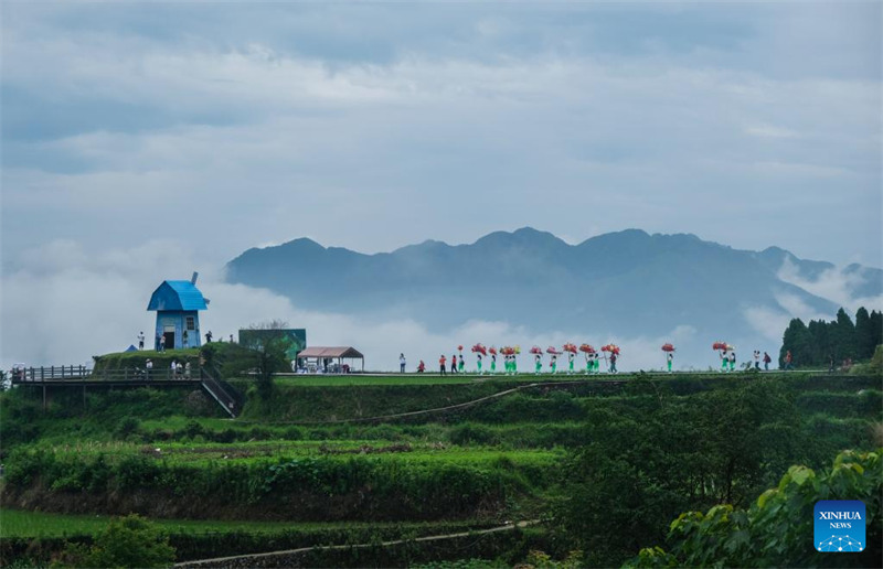 Le système de co-culture riz-poisson dans la province du Zhejiang