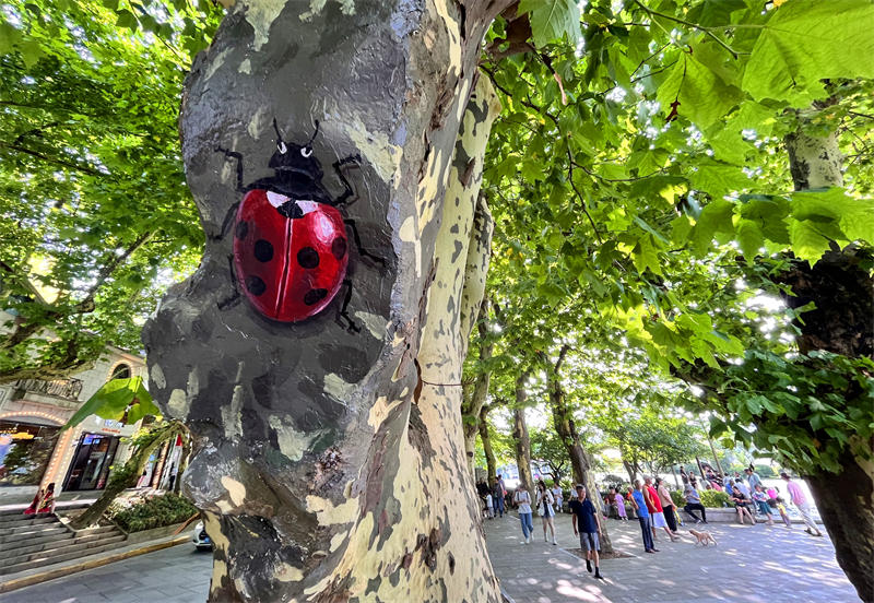 Jiangxi : des animaux 3D ? dans des arbres ?, une nouvelle mesure de conservation des arbres à Jiujiang