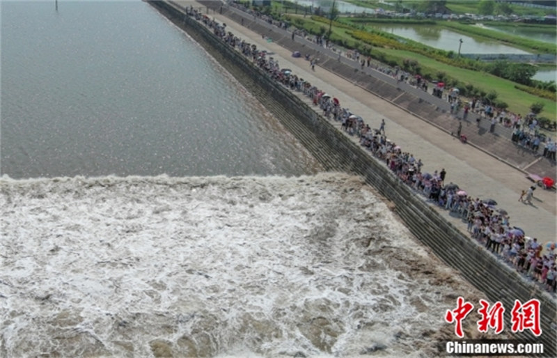 Zhejiang : le mascaret spectaculaire du fleuve Qiantang à Jiaxing