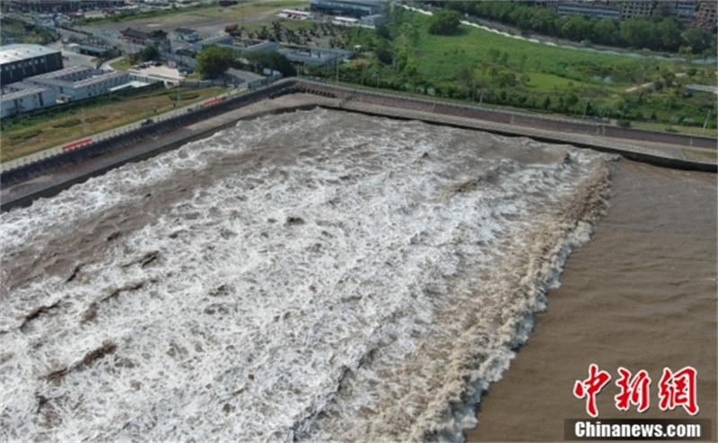 Zhejiang : le mascaret spectaculaire du fleuve Qiantang à Jiaxing