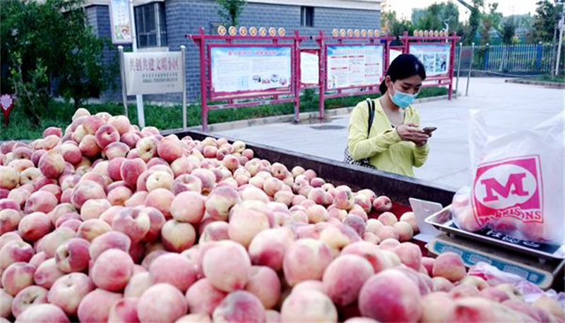 Xinjiang : si douces ! ? Pas d'indélicatesses ? devant un étal de pêches en libre-service