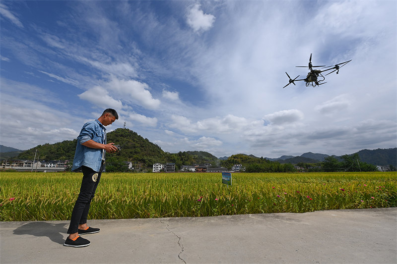 Zhejiang : les agriculteurs-entrepreneurs contribuent à la modernisation agricole