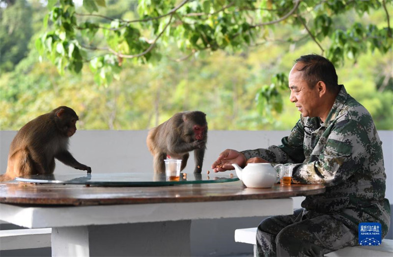 Guangdong : un ? père des singes ? garde une ?le depuis 33 ans