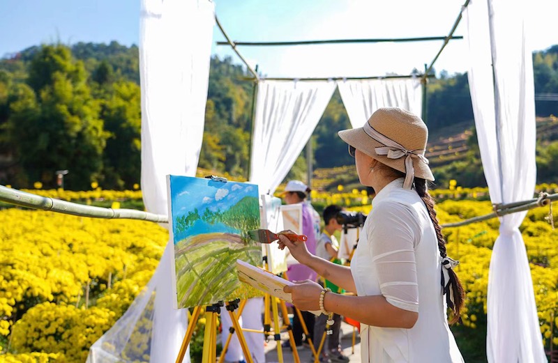 Jiangxi : les chrysanthèmes jeunes du mont Mingyue sont très populaires