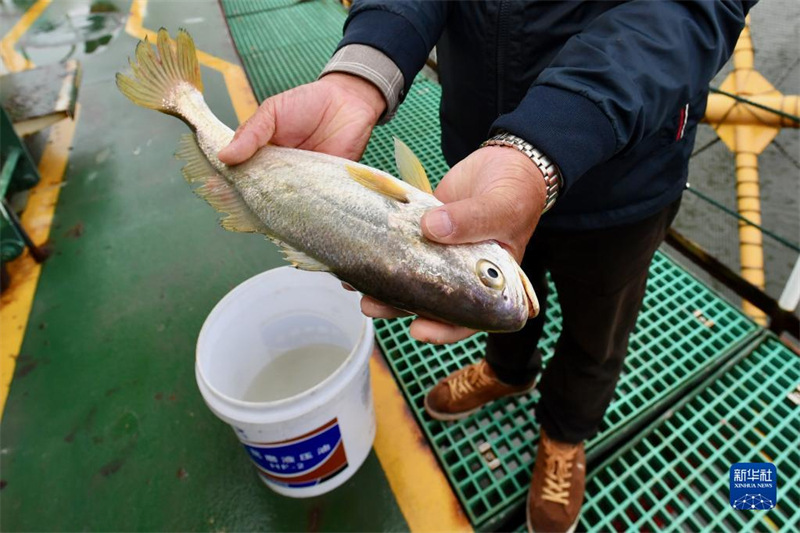 Fujian : les plateformes d'élevage en mer profonde et lointaine contribuent à moderniser et à revitaliser la pêche