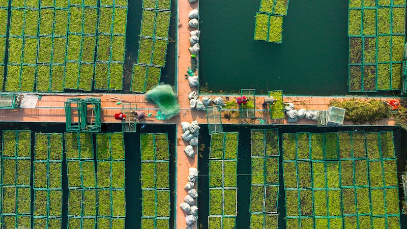 Zhejiang : un potager sur l'eau occupé par la ? préparation de la terre ? à Chun'an