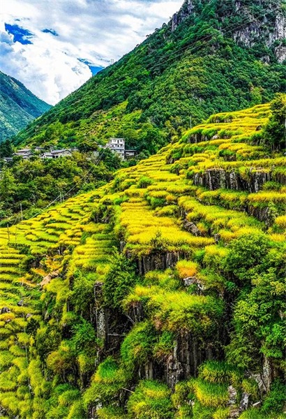 24 images pittoresques : rencontre avec les quatre saisons du Yunnan coloré