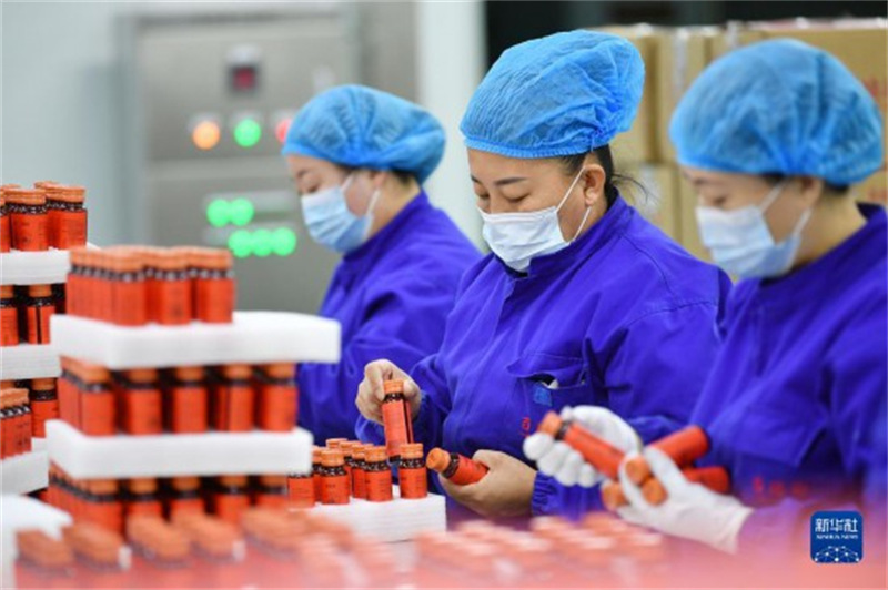 Ningxia : l'industrie des baies de goji inaugure un ? bon départ ? cette année