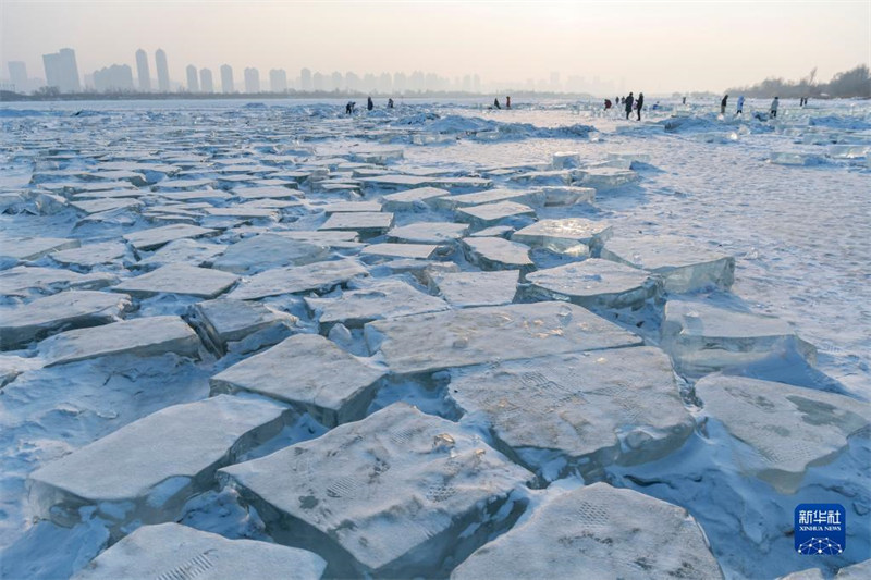 Heilongjiang : la ? mer de diamant ? attire les visiteurs à Harbin