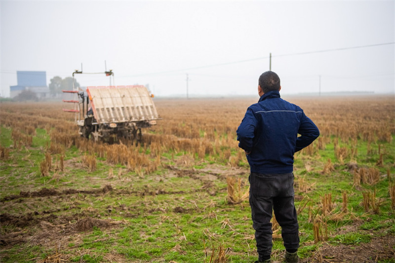 Hunan : à la découverte des ? technologies magiques ? dans les terres cultivées