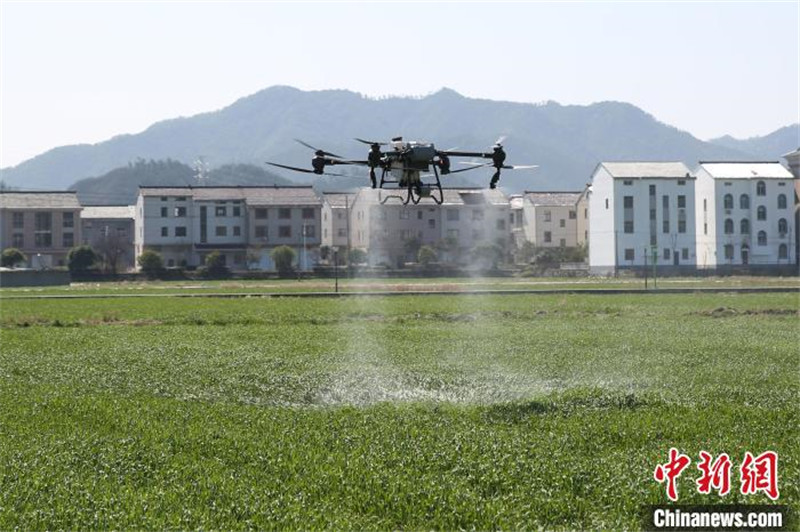 Zhejiang : des machines agricoles ? montrent leurs compétences ? lors des labours de printemps à Dongyang