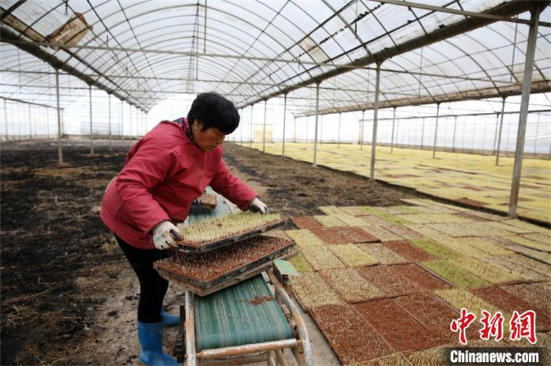 Zhejiang : des machines agricoles ? montrent leurs compétences ? lors des labours de printemps à Dongyang