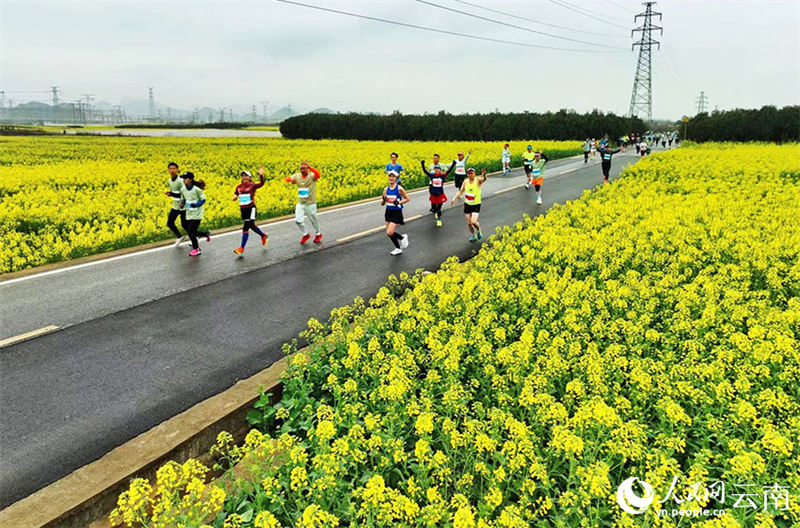 Yunnan : des marathons organisés au milieu d'une mer de fleurs de colza