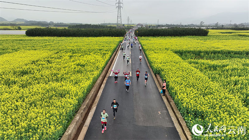 Yunnan : des marathons organisés au milieu d'une mer de fleurs de colza