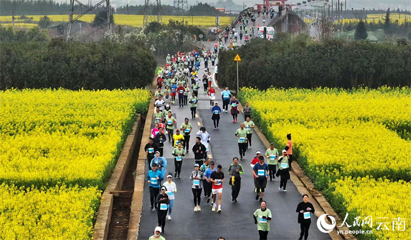 Yunnan : des marathons organisés au milieu d'une mer de fleurs de colza