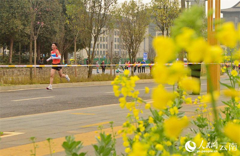 Yunnan : des marathons organisés au milieu d'une mer de fleurs de colza