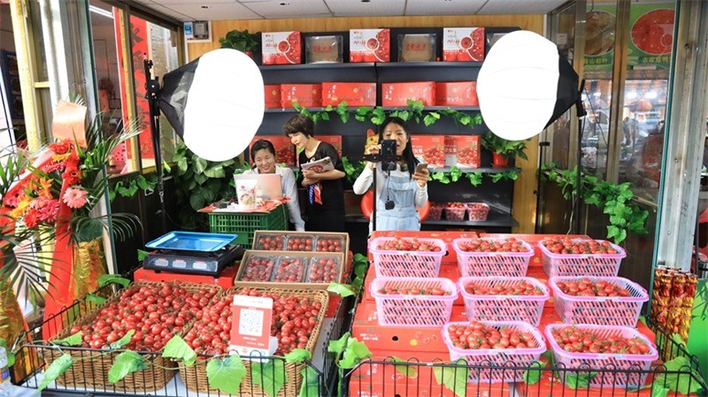 Hainan : les fruits rouges sur la ? voie express ? du commerce en ligne pour élargir la route de la richesse à Ding'an