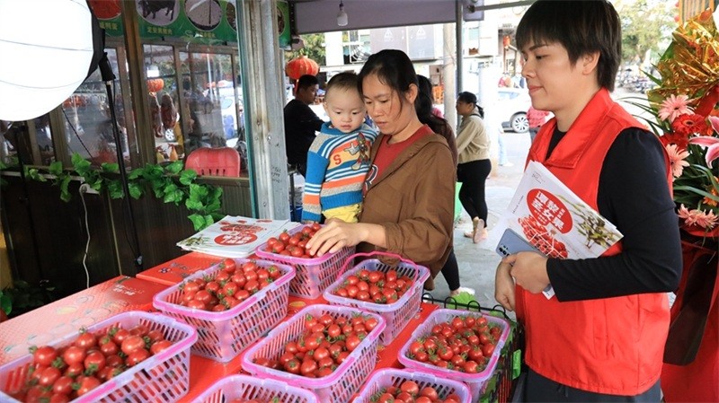 Hainan : les fruits rouges sur la ? voie express ? du commerce en ligne pour élargir la route de la richesse à Ding'an