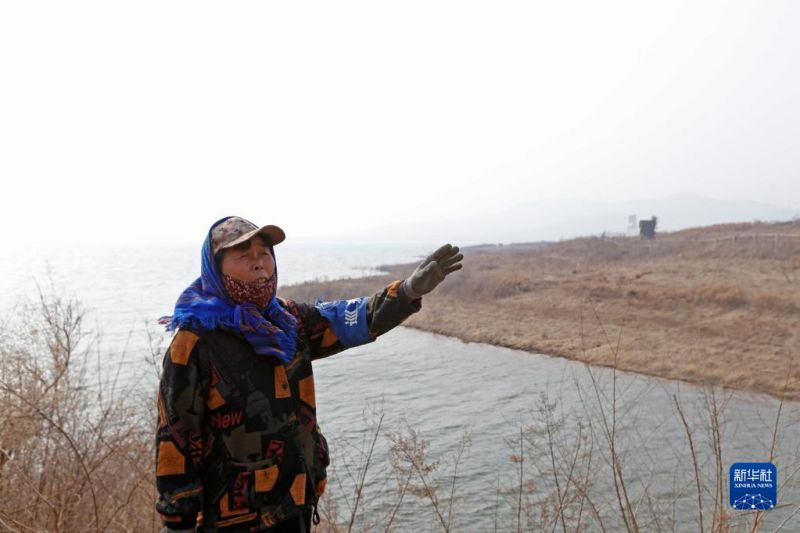 Liaoning : le travail inlassable d'un couple transforme une montagne aride en une forêt?touffue