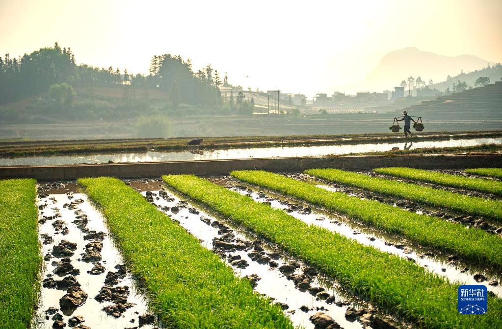 Les?travaux?de printemps battent leur?plein en Chine