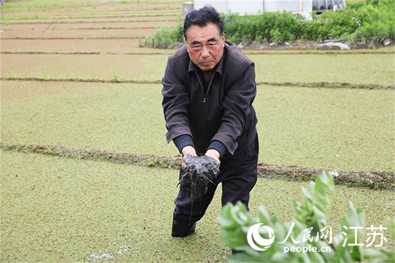 Jiangsu : le village de Jiangxiang, un exemple de la revitalisation rurale