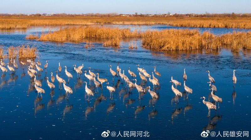 Hebei : une?cérémonie d'émission de timbres commémoratifs du 50e anniversaire de l'établissement des relations diplomatiques entre la Chine et l'Espagne