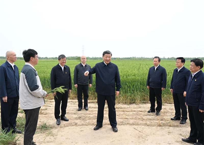 Xi Jinping visite la ville de Cangzhou, dans la province du Hebei