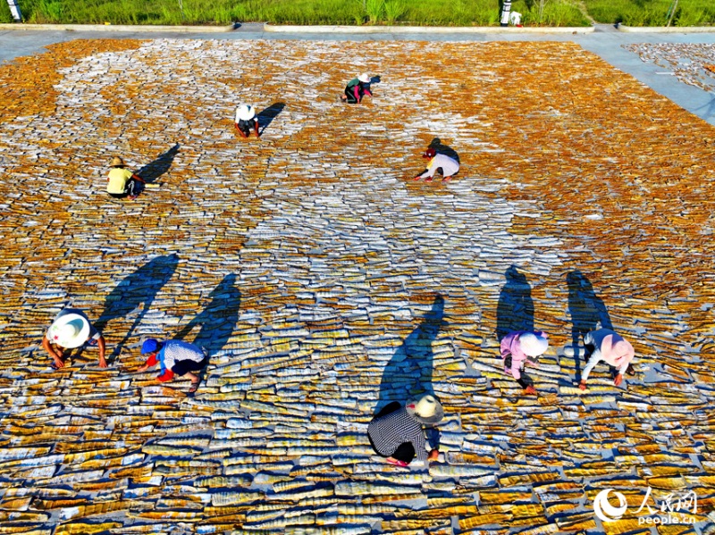 Jiangxi : comment le séchage des pousses de bambou permet d'augmenter les revenus