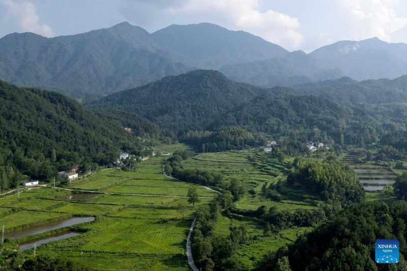 Anhui : un couple de gardes forestiers dévoué à la protection de la réserve naturelle de Tianma