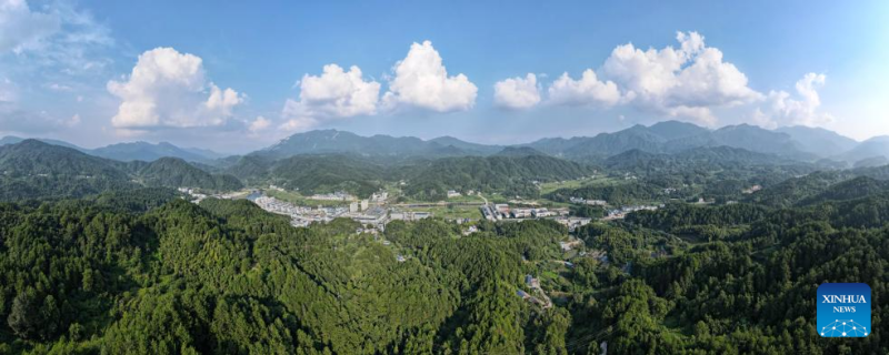 Anhui : un couple de gardes forestiers dévoué à la protection de la réserve naturelle de Tianma