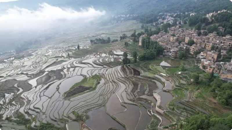 Yunnan : les rizières en terrasses Hani de Honghe, un berceau de la civilisation