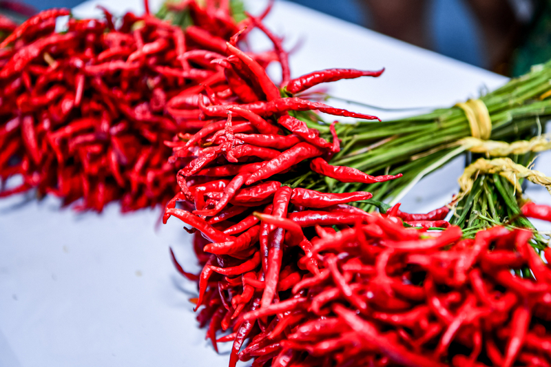 Guizhou : l'industrie prospère du piment rouge