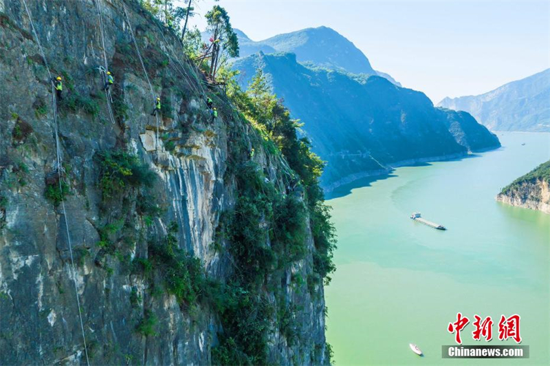 Hubei : à Zigui, les ? hommes araignées ? éliminent les dangers sur les falaises abruptes au-dessus d'une autoroute