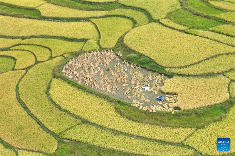 La 6e Fête des récoltes des agriculteurs chinois célébrée dans toute la Chine