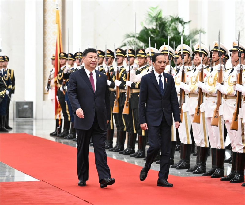 Xi Jinping s'entretient avec le président indonésien