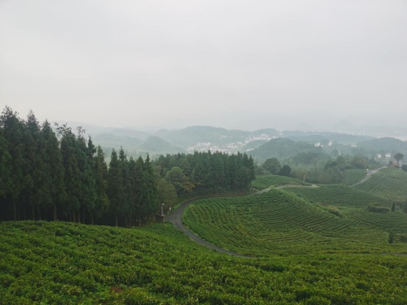 Début d'un événement de promotion de l'amitié entre les jeunes de l'Initiative ? La Ceinture et la Route ? dans le Guizhou