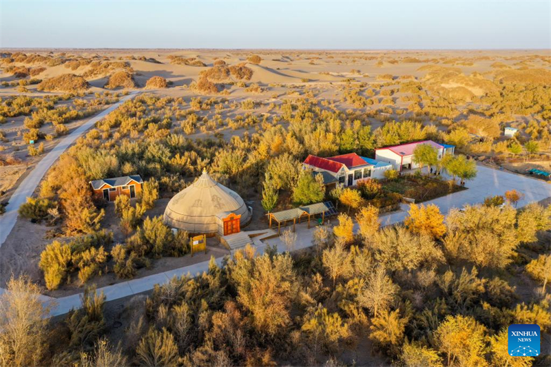 Histoire en images de planteurs en Mongolie intérieure