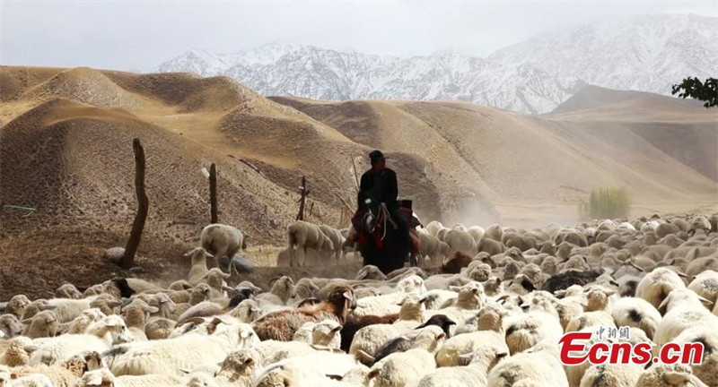 Début de la transhumance au Xinjiang