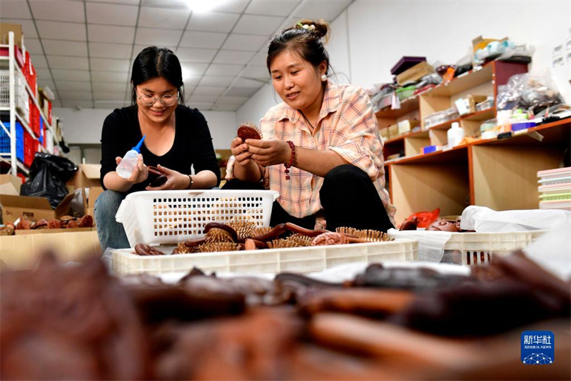 Shandong : comment les peignes en bois contribuent à la propriété industrielle du village de Dazhanglou