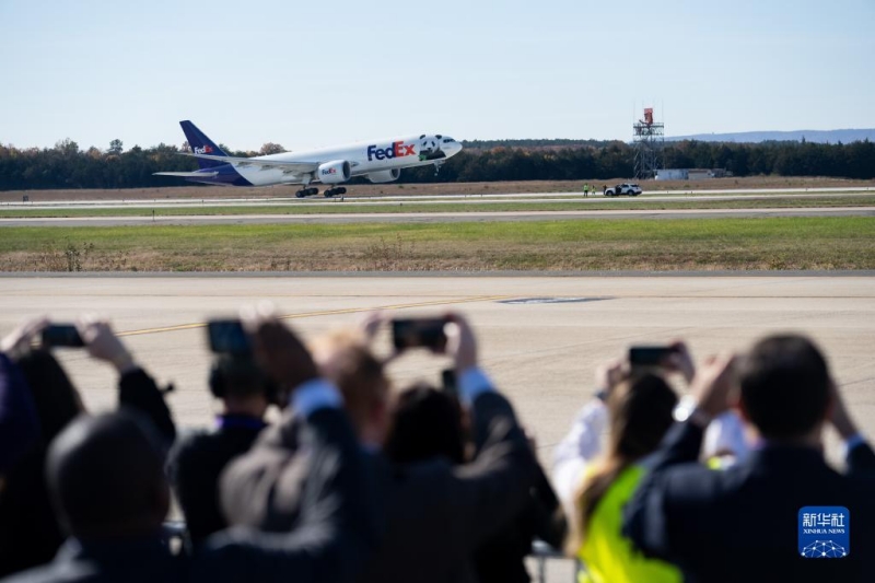 Trois pandas géants ont quitté les Etats-Unis pour rejoindre la Chine