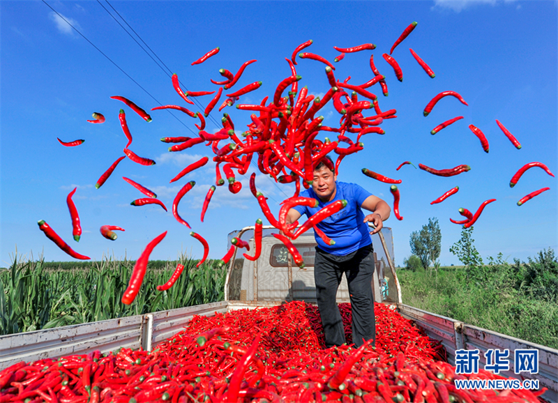 (Photo / Xinhua)