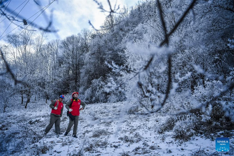 Des membres du personnel du fournisseur d'électricité local patrouillent pour la maintenance des lignes à haute tension dans le district forestier de Shennongjia. (Wu Zhizun / Xinhua)