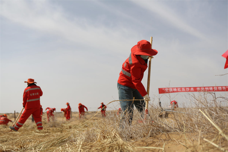 Gansu : la ville de Minqin encadre le sable et cultive de l'herbe pour protéger les routes