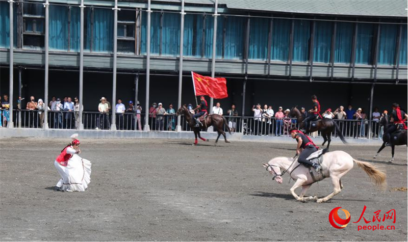 Xinjiang : l'Ancien parc écologique des chevaux sauvages, paradis des chevaux de race