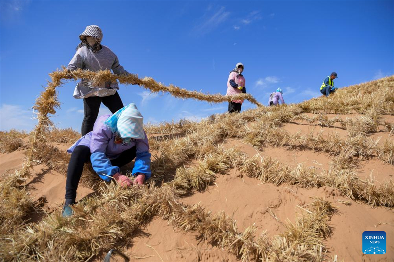 Ningxia : un outil et une technologie innovants contribuent au contr?le du sable à Zhongwei