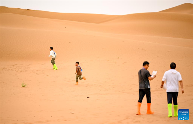 Ningxia : des jeux amusants dans le désert organisés sur le site touristique de Shapotou