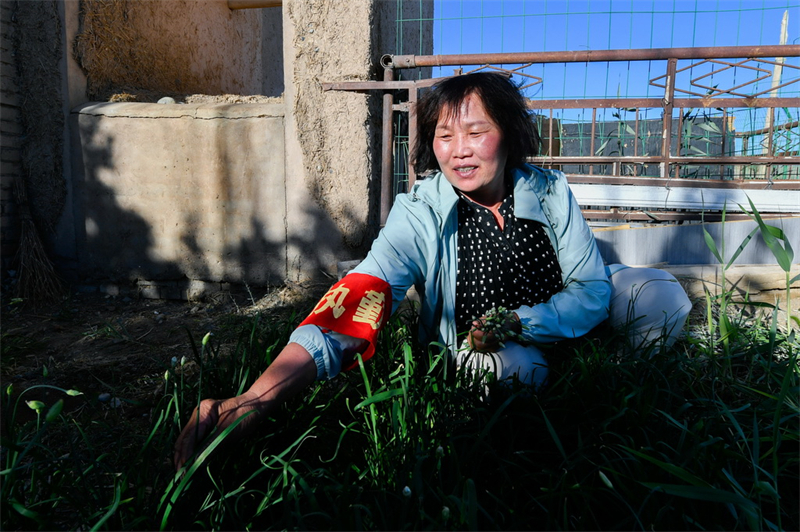 Gansu : enraciné dans le désert depuis 18 ans, le ? couple du Gobi ? veille sur la Grande Muraille des Han