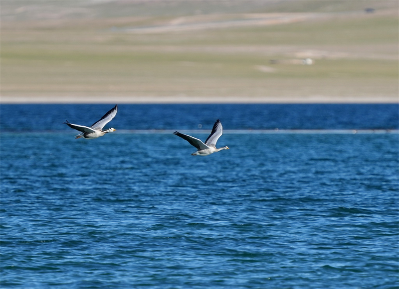 Xizang : le magnifique lac Tso Ng?n à Nagqu