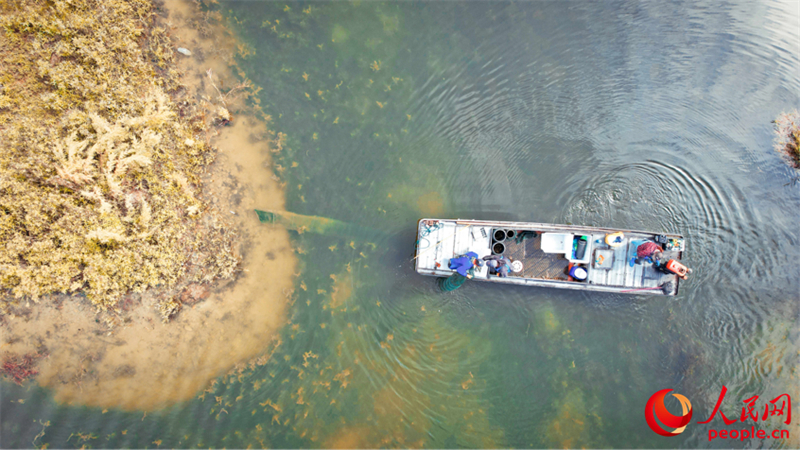 Xinjiang : la pêche aux crabes a commencé à Beitun