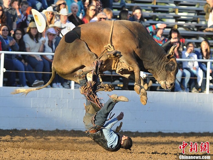 Sports: les photos de l'année 2012